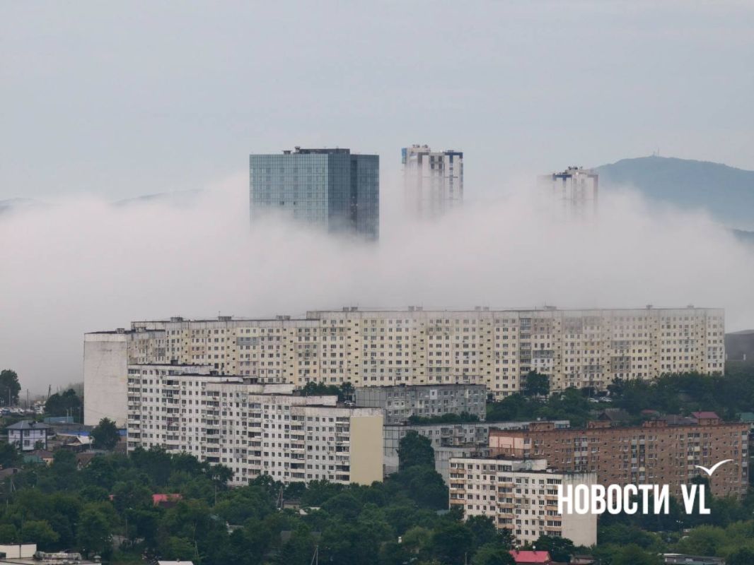 Сегодня очень красивый туман Сегодня очень красивый туман
