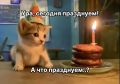Каждый день, как праздник. Сегодня отмечается День рыбака — поздравляем всех причастных