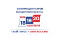 Андрей Андрейченко, выдвинутый политической партией ЛДПР - Либерально-демократическая партия России кандидатом в депутаты на выборах депутатов Государственной Думы Федерального Собрания Российской Федерации девятого созыва...