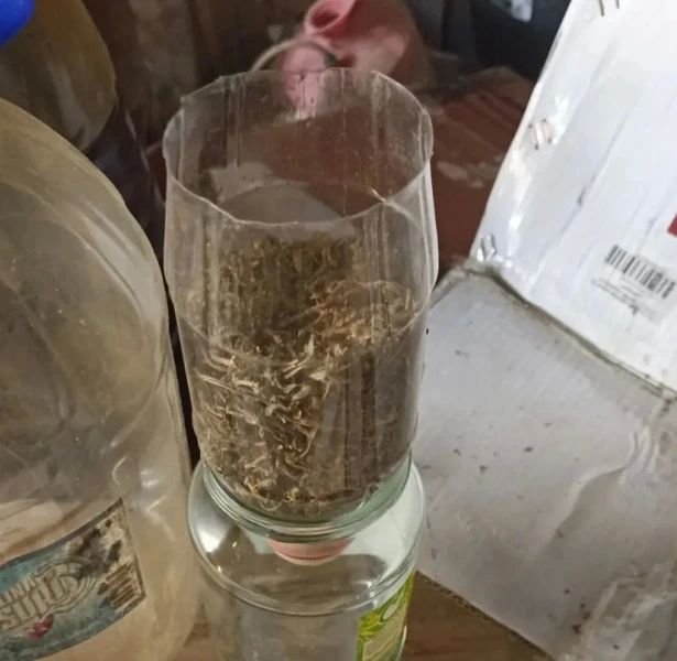 Полицейские изъяли у жителя Красноармейского округа Приморья более 1 кг марихуаны Полицейские изъяли у жителя Красноармейского округа Приморья более 1 кг марихуаны