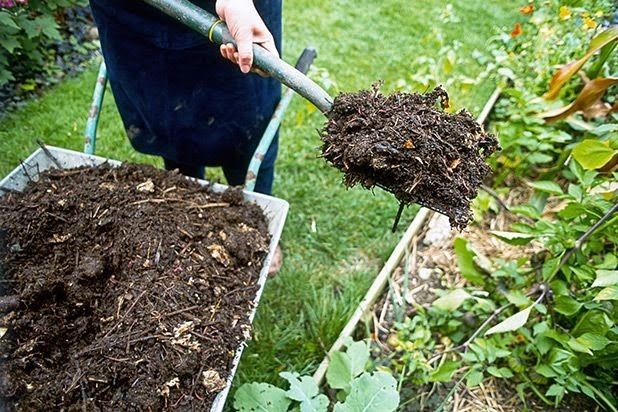 ЭМ-препараты: сделайте их сами и улучшите ваш сад