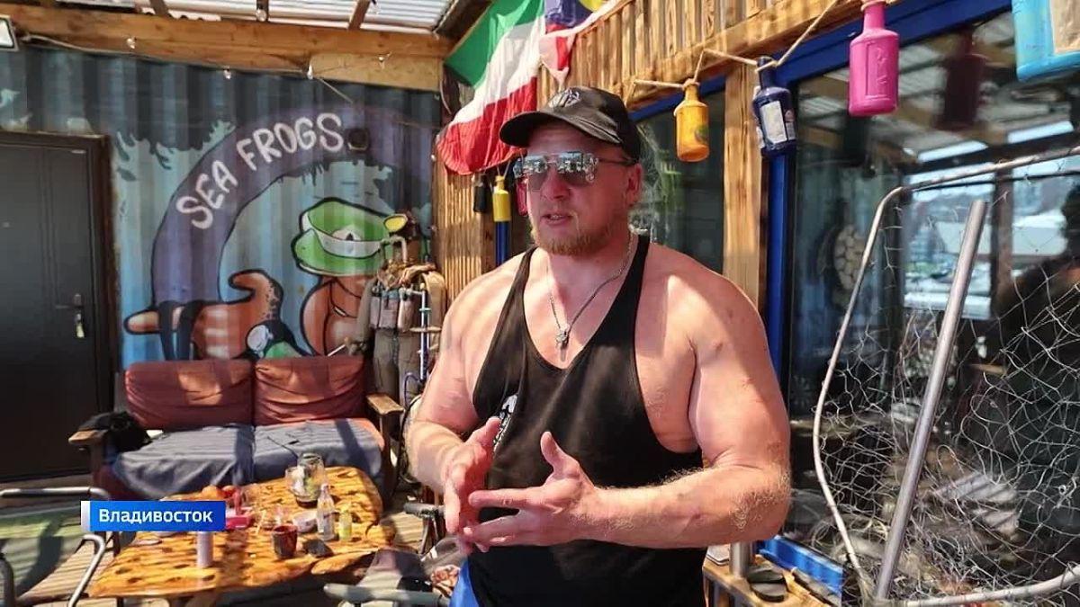 Заплутавшего тюленя вернули в море