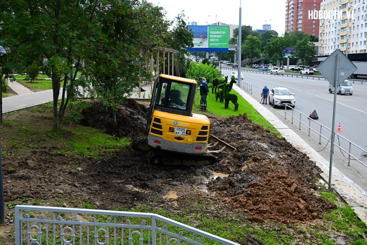 Из-за порыва трубы пришлось раскопать часть благоустроенного в прошлом году сквера на Некрасовской Из-за порыва трубы пришлось раскопать часть благоустроенного в прошлом году сквера на Некрасовской