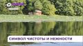 Жители Уссурийского округа уже начали любоваться лотосами