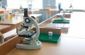 В новом учебном году в школах Приморья будут работать 660 профильных классов