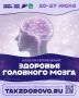 #ЗДОРОВЬЕ_СГТ: Как сохранить здоровье головного мозга