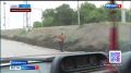 Во Владивостоке идет активная реконструкция дороги через Нефтеветку, дублера Некрасовского путепровода