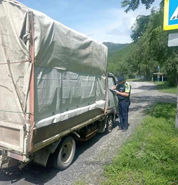 В ходе профилактического мероприятия «Грузовик» Госавтоинспекция Приморского края выявила 86 нарушений ПДД В ходе профилактического мероприятия «Грузовик» Госавтоинспекция Приморского края выявила 86 нарушений ПДД