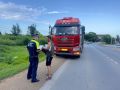 Движение грузового транспорта на контроле Госавтоинспекции Приморья
