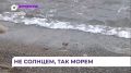 В выходные приморцев ждёт настоящая августовская жара