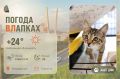 #ПогодаВЛапках. Солнечно. В прогнозе Пуговка – самая маленькая, миниатюрная и забавная девчушка в помёте