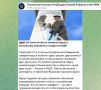 ���������� ������ � ���� ������ �� ���������� ��������� �������� ������ �� ������� ����� �� ������������ ���������� �� � ��������� �������-��������������� ���������� ��������� �� ����� ������� ��������� �� ������������ �...