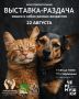 Благотворительная выставка-раздача животных пройдет во Владивостоке
