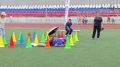 «Тигриная тропа»: старт дан!