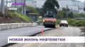 ���������� ���� �������� ����� ��������, ��� ���������� ����������� � �������� ���������� ����������
