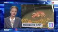 Новости Приморья коротко. Во Владивостоке выявляют факты незаконной сдачи жилья в аренду без декларирования полученных доходов Повара Приморья представят дальневосточную кухню участникам ВЭФ и жителям края Уже 29 августа на...
