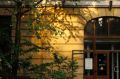 Неделя Арсеньева проходит в приморской столице