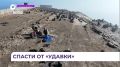На острове Тюлений «Друзья океана» вызволяют из мусорного плена ластоногих
