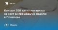 Более 250 новорожденных в Приморье за неделю