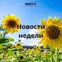 Материалы недели от Новостей VL, которые вы могли пропустить: