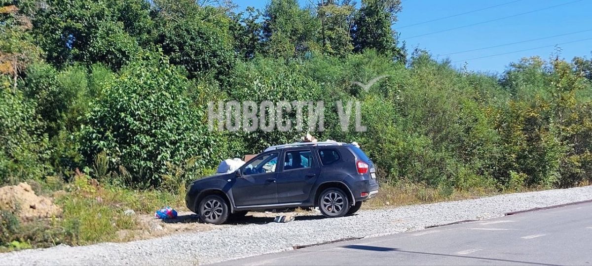 На Русском острове в районе ЖСК «Остров» заметили Nissan Terrano возле мусорного контейнера На Русском острове в районе ЖСК «Остров» заметили Nissan Terrano возле мусорного контейнера