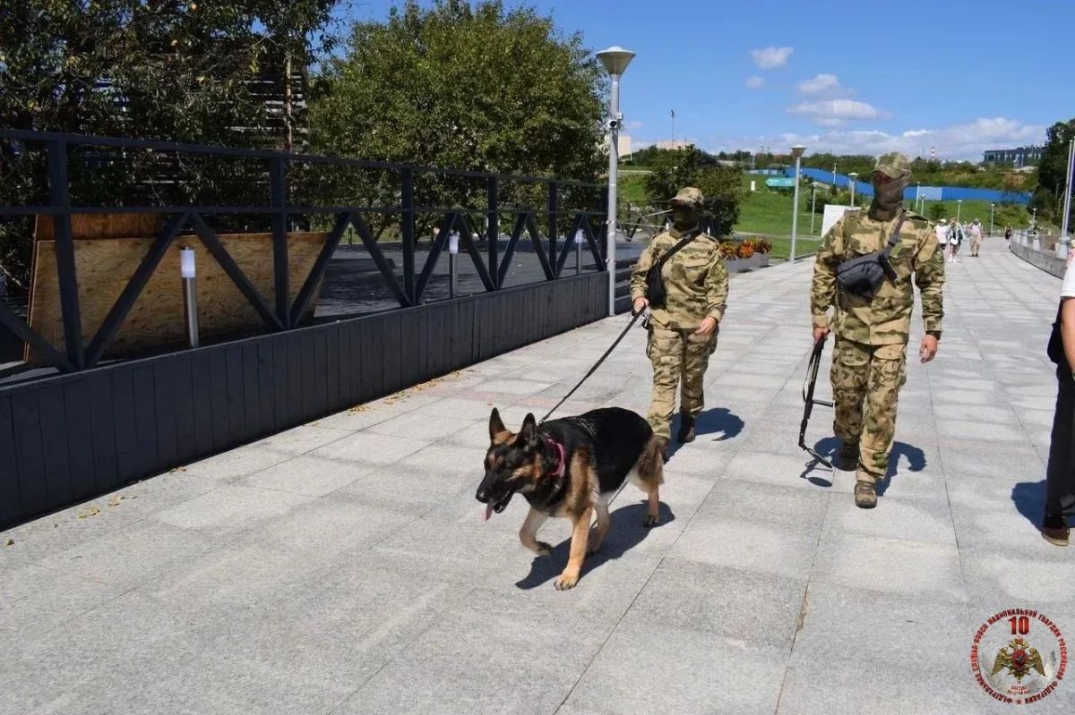Росгвардия обеспечила безопасность IX Восточного экономического форума Росгвардия обеспечила безопасность IX Восточного экономического форума