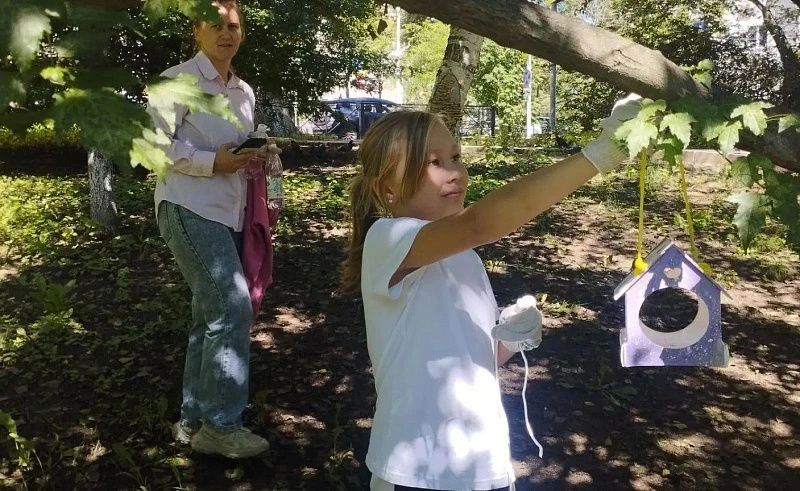 15 ярких кормушек для птиц появились в сквере Юнг во Владивостоке 15 ярких кормушек для птиц появились в сквере Юнг во Владивостоке