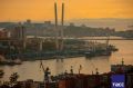 Вид на вантовый мост и бухту Золотой Рог с Нагорного парка во Владивостоке