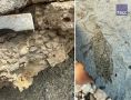 ���������� ������ � ���� ���������� � ���������� ���������� ���������� ������� ������� � �������, ������ �� ����� ����� 100 ��� ��� �����, �������� � ���� �� ���