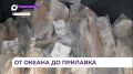 ��������� �� ����������� ������ ��������� �������� �� ��� �� ������������