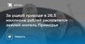 Суд за ущерб природе: житель Приморья расплатится землёй