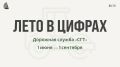 Лето в цифрах: отдел дорожного ремонта