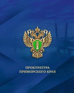 По материалам прокурорской проверки возбуждено уголовное дело после травмирования ребенка на детской площадке во Владивостоке