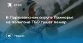 Пожар на полигоне ТБО в Приморье