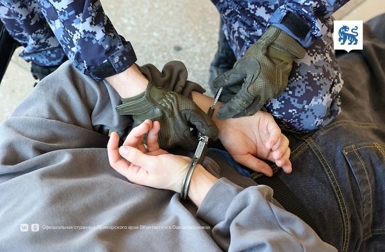 17 «террористических» уголовных дел направлены в суды Приморья