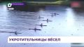 Смотрим сюжет «ОТВ-Прим» о возвращении наших чемпионок!