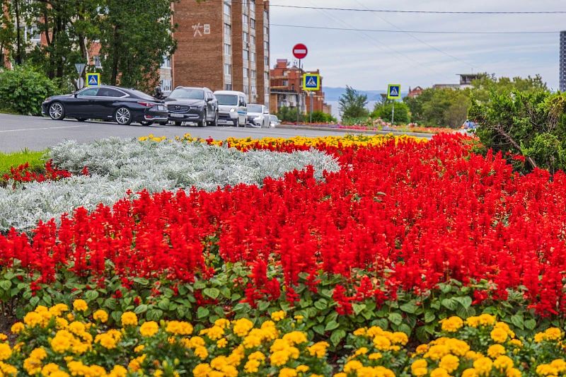 Во Владивостоке в этом году высадили 268 тысяч однолетних цветов, 7,5 тысячи многолетников и более 30 тысяч деревьев и кустарников