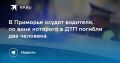Смертельное ДТП в Приморье: водителя осудят