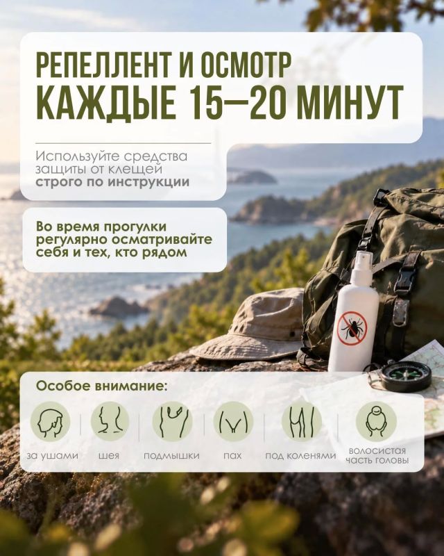 Осторожно, клещи!... ..Пока только на карточках, но вполне реально встретить это мелкое и опасное создание в лесу, в парке или даже в сквере у дома. Сезон их активности продлится до первых устойчивых заморозков Осторожно, клещи!... ..Пока только на карточках, но вполне реально встретить это мелкое и опасное создание в лесу, в парке или даже в сквере у дома. Сезон их активности продлится до первых устойчивых заморозков