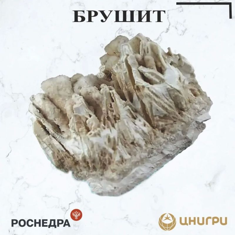 В эту среду ЦНИГРИ. расскажет о брушите