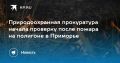 Пожар на полигоне в Приморье: начата проверка