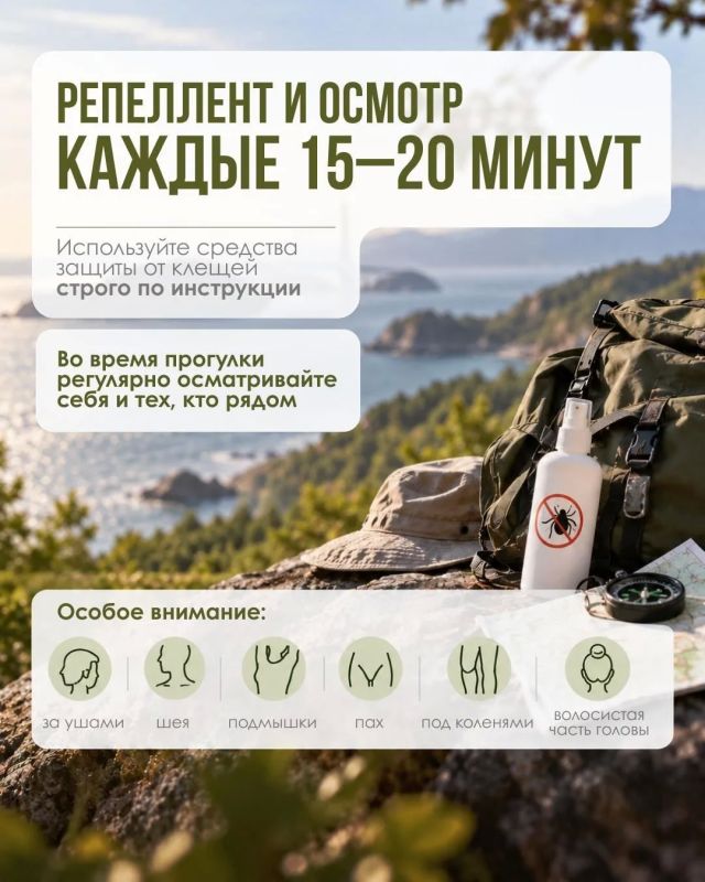 Осторожно, клещи!. Минздрав Приморья рассказывает, как защитить себя и близких Осторожно, клещи!. Минздрав Приморья рассказывает, как защитить себя и близких
