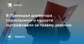 В Приморье директора горнолыжного курорта оштрафовали на 300 тысяч рублей из-за травмы девочки