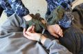 В Приморье направили в суд 17 дел о терроризме