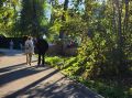 Сезон ОРВИ: эксперт объяснил, почему аптечные иммуностимуляторы не работают
