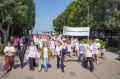 Более тысячи человек собрал фестиваль многодетных семей в Приморье