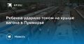 Трагедия на крыше вагона: ребенка ударило током в Приморье