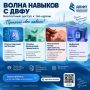Четыре курса ДВФУ — бесплатно