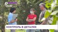 Благоустройство дворов в поселке Дунай проверили общественные наблюдатели