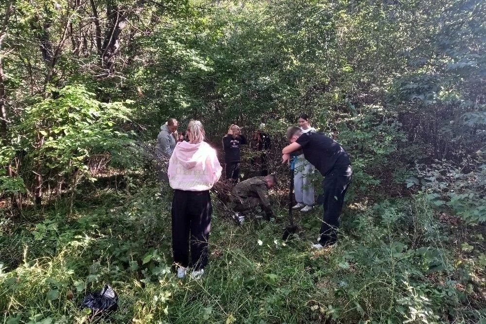У молодых кедров в Партизанске – большая забота У молодых кедров в Партизанске – большая забота